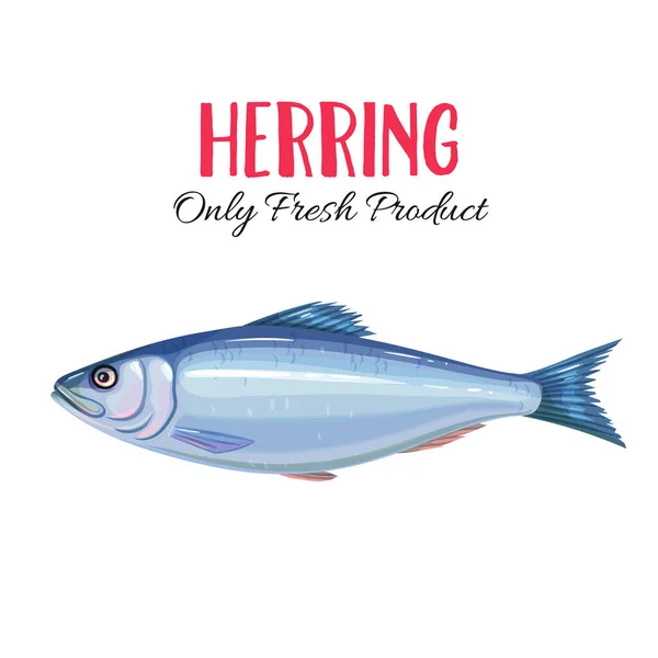 Vector Herring Icon Badge Fish Design Seafood Packaging Market — Stock Vector