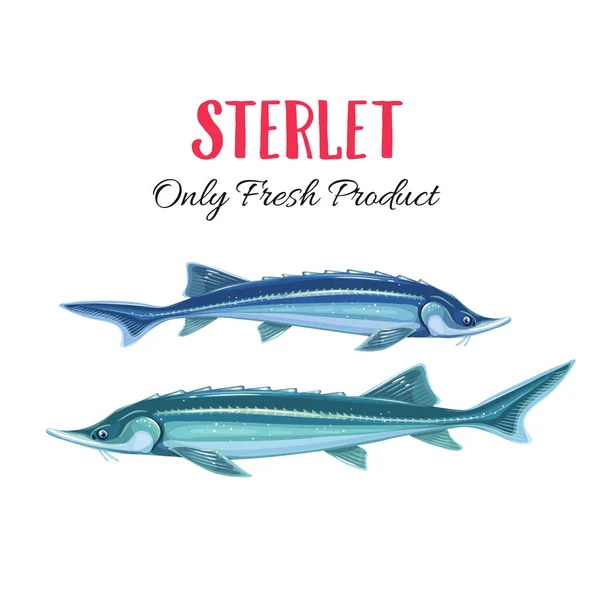 病媒类固醇 设计海鲜包装和市场用的虹膜徽章鱼 — 图库矢量图片