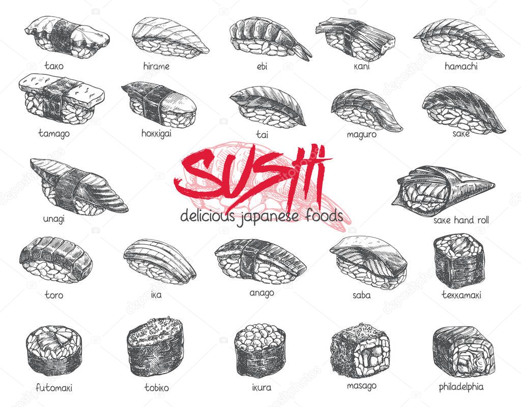 Vector hand drawn sushi set. Japanese food sketch illustration for sushi rolls bar menu, banner, flyer, card and etc.