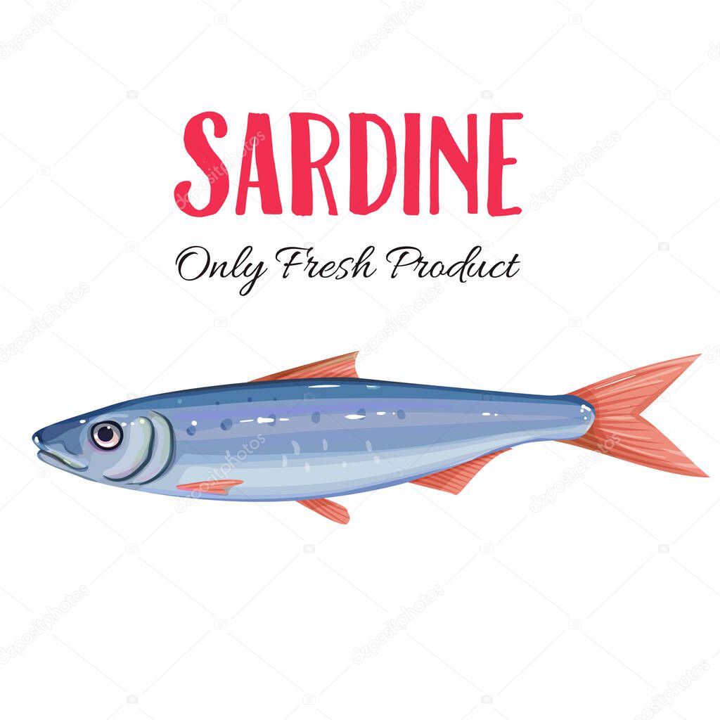 Vector sardine. Icon badge fish for design seafood packaging and market.