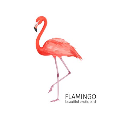 Vektör flamingo. Egzotik tropikal kuş. Yaz mevsiminde tropikal cennet reklamları için parlak illüstrasyon karikatür stili.