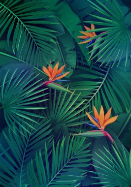 Vector tropical background with leaves and flowers. Jungle exotic strelitzia, banana leaf, philodendron and areca palm. Wallpaper screen summer tropical paradise. clipart