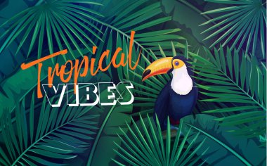 Yaprakları ve tukanları olan tropikal bir yaz ortamı. Orman muz yaprağı, egzotik kuş ve reklam tatili için areca palmiyesi kavramı.