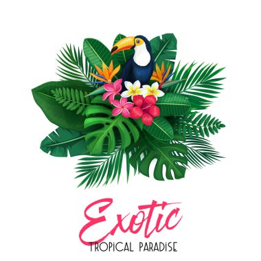 Vektör tropikal bayrak. Toucan, tropikal yapraklar ve çiçeklerle reklam için yaz tasarımı. Görüntü strelitzia, plumeria, orman egzotik yaprağı, areca palmiyesi, canavar, tesisat ve egzotik kuş..
