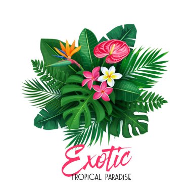 Vektör tropikal bayrak. Egzotik yapraklar ve çiçeklerle reklam tatili için yaz tasarımı. Görüntü strelitzia, plumeria, orman yaprağı, areca palmiye, canavar, plumeria ve anthurium ile.