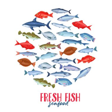 Balıklı taşıyıcı bayrak. Somon, ançüez, morina balığı, levrek, okyanus levreği ve sardalya ile deniz ürünleri tasarımı. Icon uskumru, ringa, dorado, ton balığı, halibut, tilapia ve alabalık..