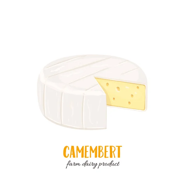 Ícone de queijo camembert — Vetor de Stock
