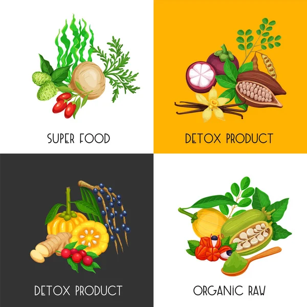 Vector Superfood Banners Set Healthy Detox Natural Product Camu Camu — Stock Vector