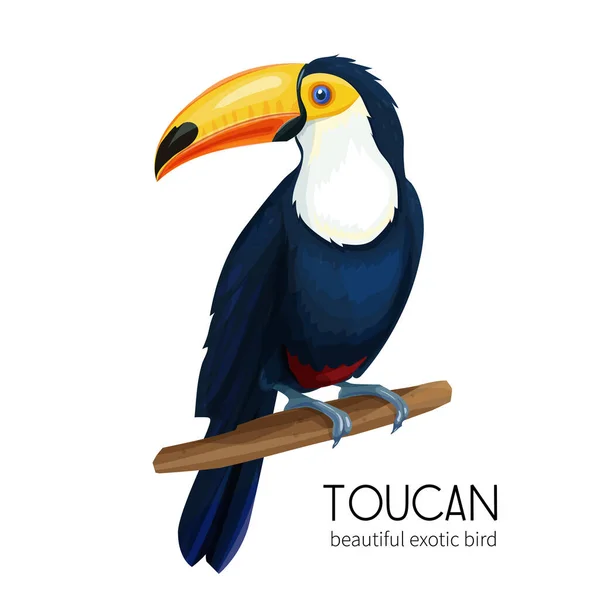 Vector Toucan Exotic Tropical Bird Sitting Branch Bright Illustration Cartoon — Stock Vector