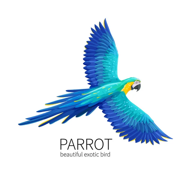 ベクトルオウム エキゾチックな熱帯の鳥が飛びます 夏の熱帯の楽園の広告休暇のデザインのための明るいイラスト漫画スタイル — ストックベクタ