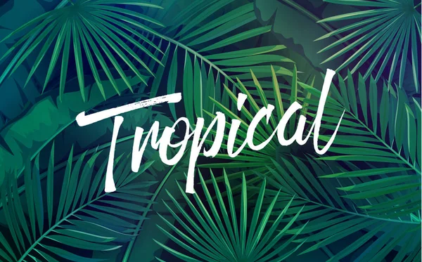 Vector Tropische Achtergrond Met Bladeren Jungle Exotische Bananenblad Areca Palm — Stockvector