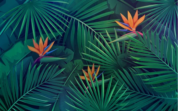Vector Tropical Background Leaves Flowers Jungle Exotic Strelitzia Banana Leaf — Stock Vector
