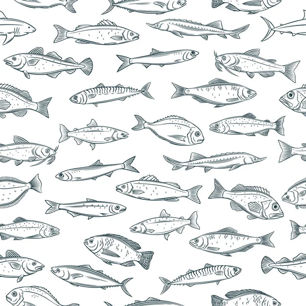 Vector Seamless Pattern Hand Drawn Fish Retro Background Seafood Tilapia — Stock Vector