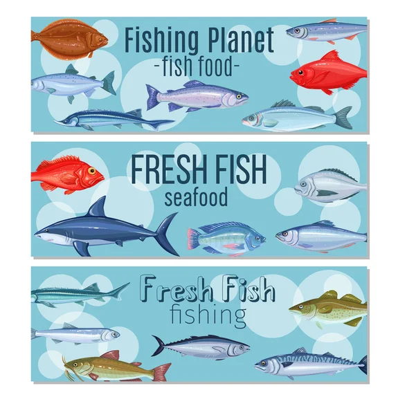 Set Vector Banners Fish Seafood Design Salmon Anchovy Codfish Sea — Stock Vector