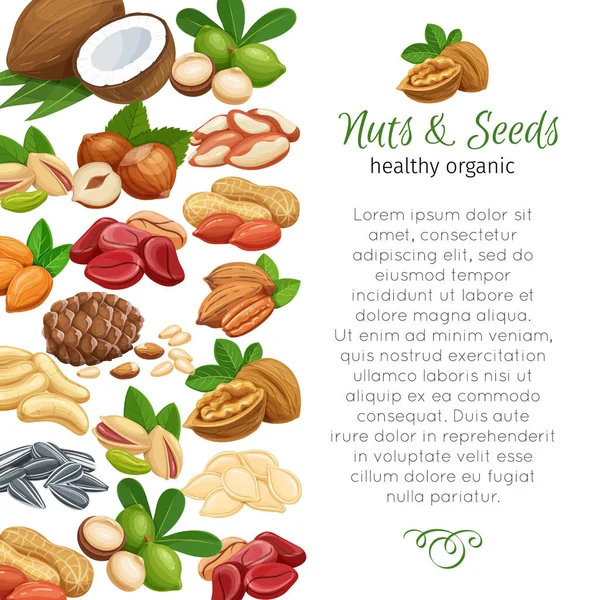 Plantilla Diseño Página Con Frutos Secos Semillas Nuez Cola Semilla — Archivo Imágenes Vectoriales