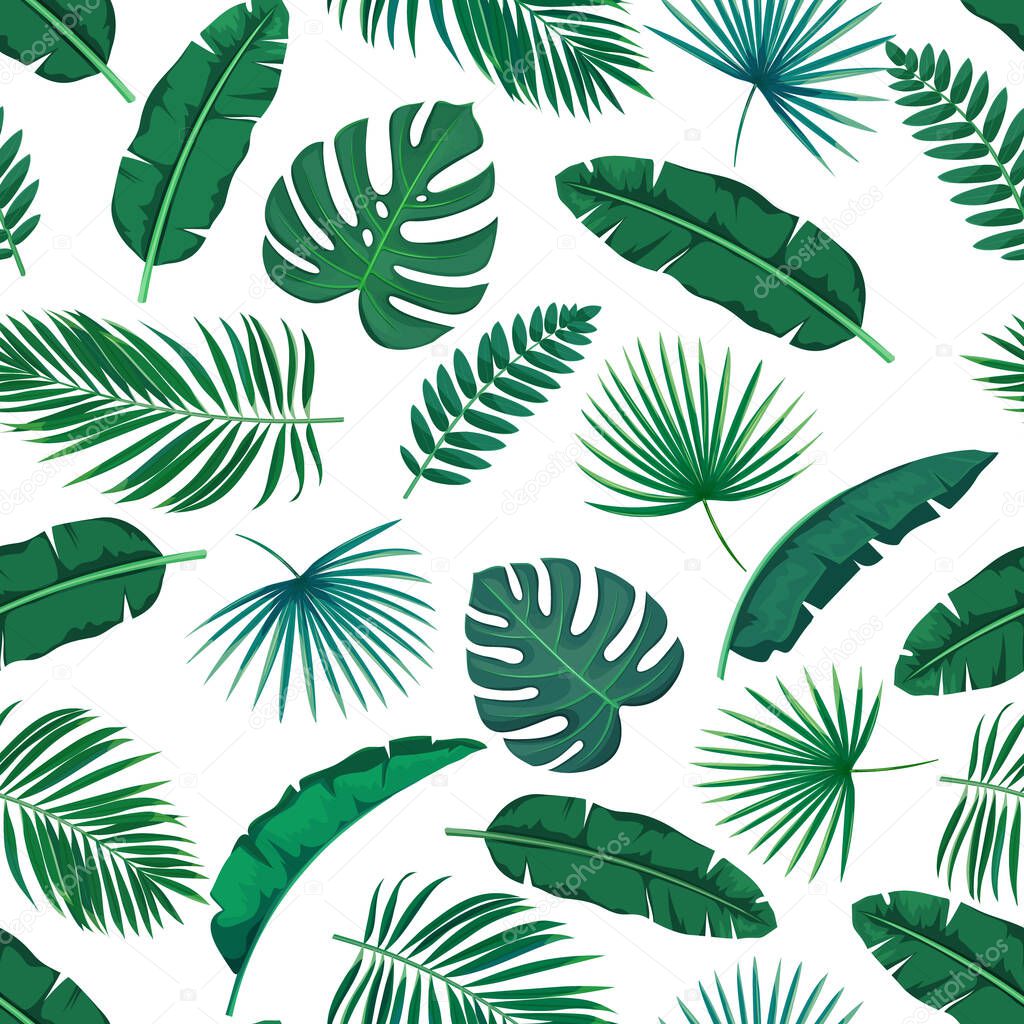 Vector green tropical leaves seamless pattern. Jungle exotic banana leaf, philodendron, areca palm and royal fern. Background summer tropical paradise design vacation.