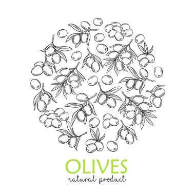 Çiftçilerin pazar ambalaj tasarımı için modern zeytin ve ağaç dallarıyla afiş şablonu. Mürekkep retro biçiminde vektör illüstrasyonu