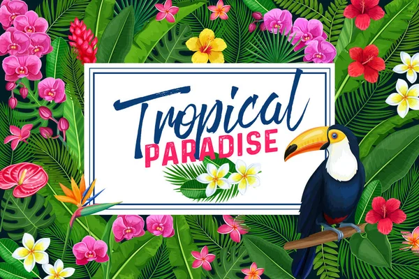 Desenho Página Tropical Vetorial Cartaz Floresta Floral Fundo Verão Com —  Vetores de Stock