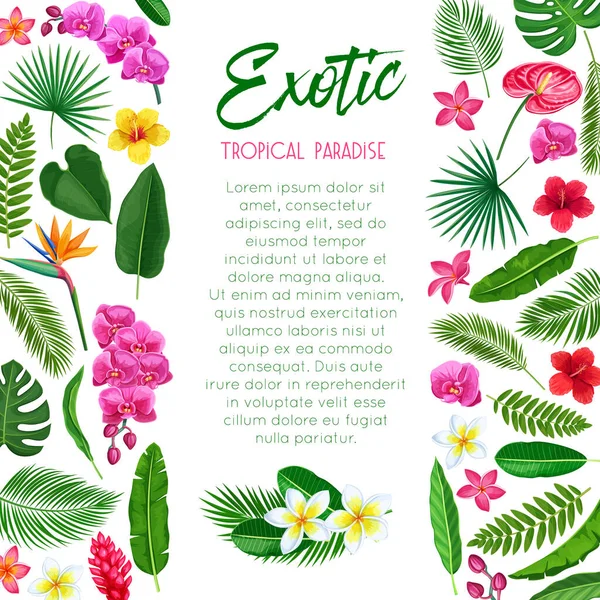 Vector Tropical Poster Exotic Paradise Template Page Design Jungle Exotic — Stock Vector