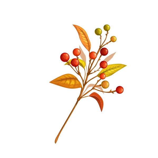 Осенняя Ветвь Ягодами Украшение Открыток Изделий Осеннего Дизайна Векторная Иллюстрация — стоковый вектор