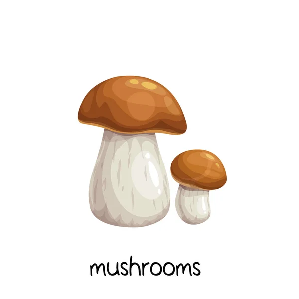 Porcini Champignons Boletus Edulis Icône Isolée Sur Blanc Pour Étiquette — Image vectorielle