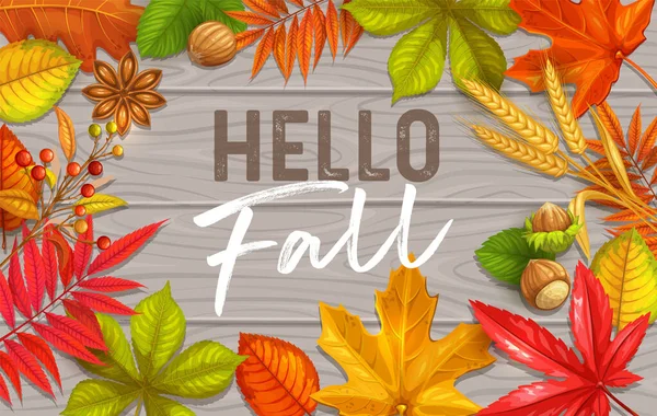 Saisonale Hallo Herbst Poster Mit Herbstlaub Von Ahorn Eiche Ulme — Stockvektor