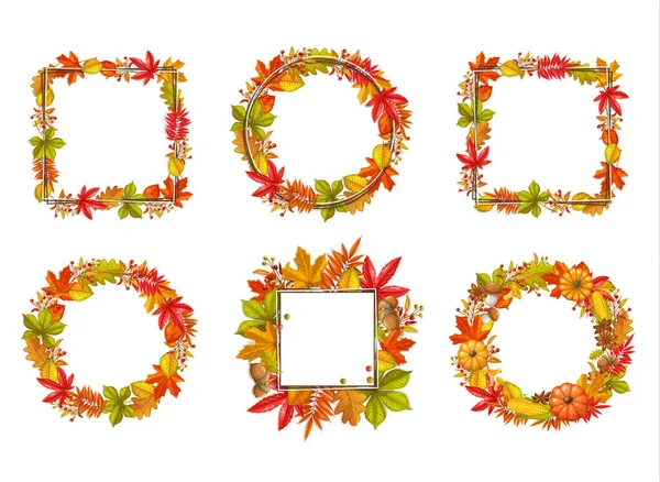 Seasonal Set Fall Frames Autumn Foliage Maple Oak Elm Chestnut — Stock Vector