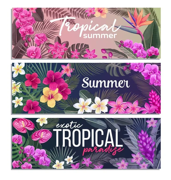 Tropiska Banderoller Med Djungelexotiska Blommor Och Blad Strelitzia Anthurium Hibiskus — Stock vektor