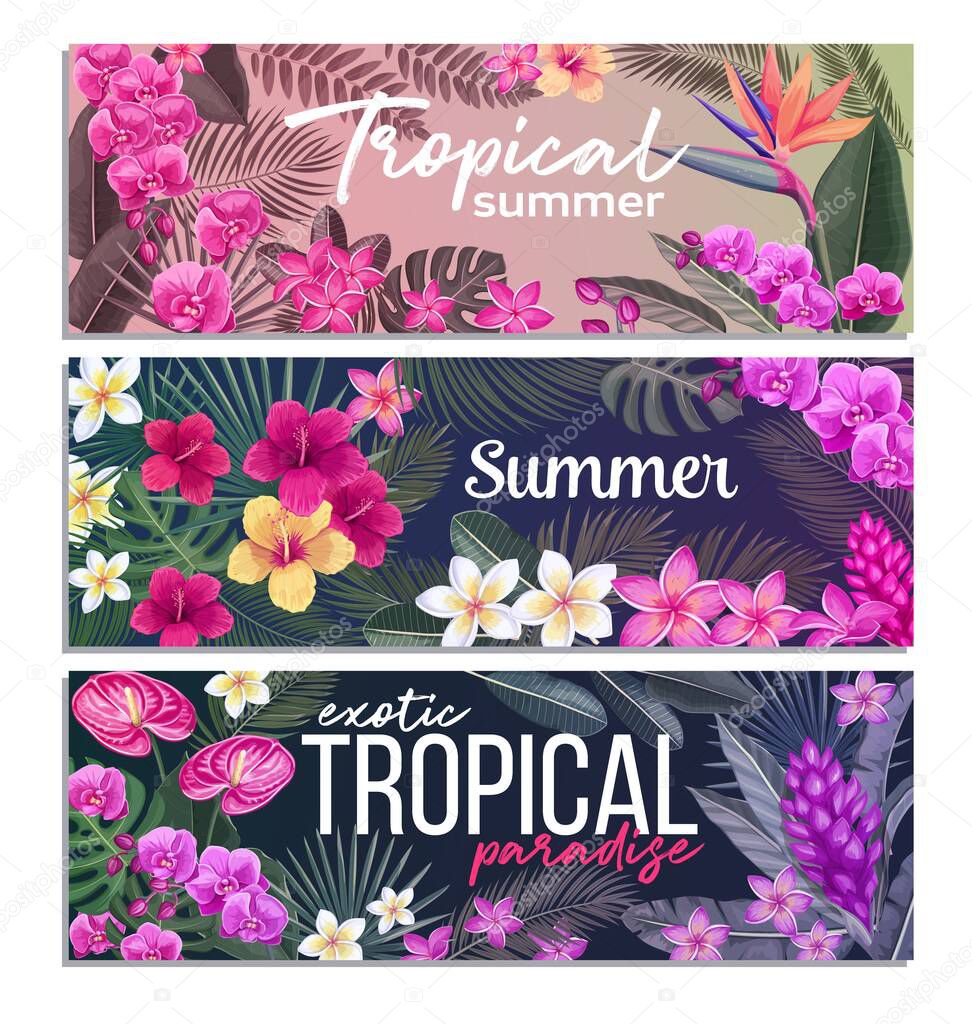 Tropical banners with jungle exotic flower and leaves. Strelitzia, anthurium, hibiscus, plumeria, orchid and ginger flower. Summer tropical paradise design. Vector illustration.