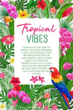 Yaprakları, çiçekleri ve papağanı olan tropikal bir yaz ortamı. Orman muz yaprağı, egzotik kuş ve reklam tatili için areca palmiyesi kavramı.