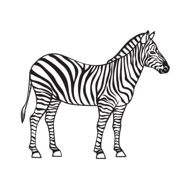 Zebra vektörü, izole edilmiş siyah ikon. Tasarım hayvanat bahçesi için monohrome siyah hayvan çizimi.