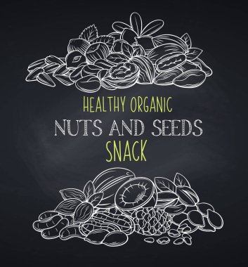 Fındık ve tohum afişleri, karatahta tarzı. Kola fındığı, kabak tohumu, fıstık ve ayçiçeği çekirdeği. Fıstık, kaju, hindistan cevizi, fındık ve macadamia. Vektör illüstrasyonu.