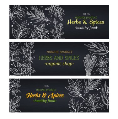 El yapımı otlar ve baharatlar, çiftçilerin pazar menüsü tasarımı için tasarım. Karatahta biçiminde vektör illüstrasyon şablonu aşçılık bitkileri