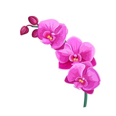 Orchid summer tropical flower. Cartoon style vector illustration. Exotic hawaiian element. Vector illustration. clipart