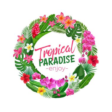 Orman egzotik yaprak canavarı, areca palmiyesi, kraliyet eğreltiotu ve su tesisatı olan tropikal bir çerçeve. Strelitzia, anthurium, hibiscus, orkide ve zencefil çiçeği. Egzotik cennet tasarımı