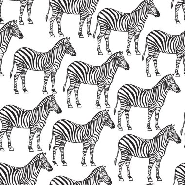Zebra kusursuz desen. Monohrome siyah izole edilmiş hayvan arkaplanı.