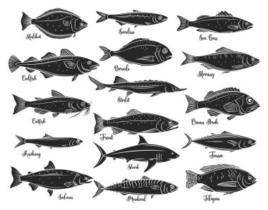 Siluet balıklar. Çipura, uskumru, ton balığı, sterlet, yayın balığı, morina ve halibut ile izole edilmiş deniz ürünleri. Tilapia, okyanus levreği, sardalya, ançüez, levrek ve dorado. Retro biçimi, vektör çizimi
