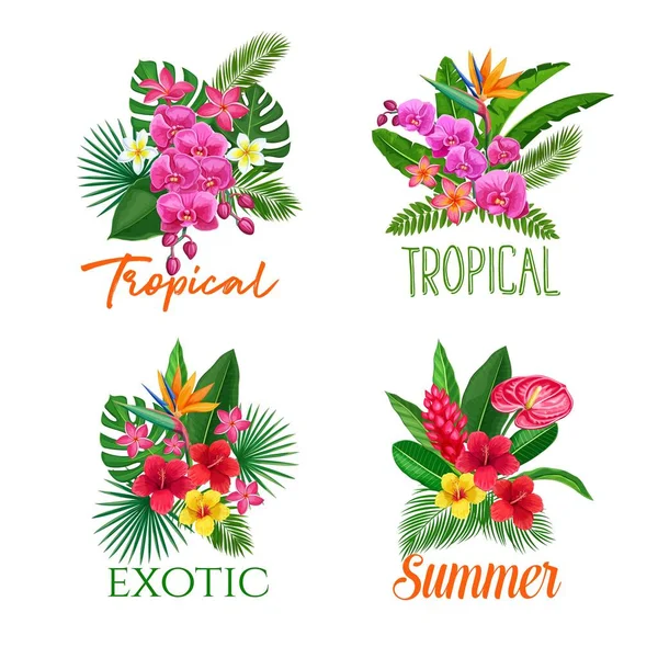 Bandeiras Tropicais Com Flores Exóticas Selva Folhas Strelitzia Anthurium Hibiscus —  Vetores de Stock