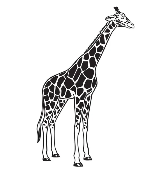 长颈鹿矢量孤立的黑色图标设计动物园的单色黑色动物图解 — 图库矢量图片