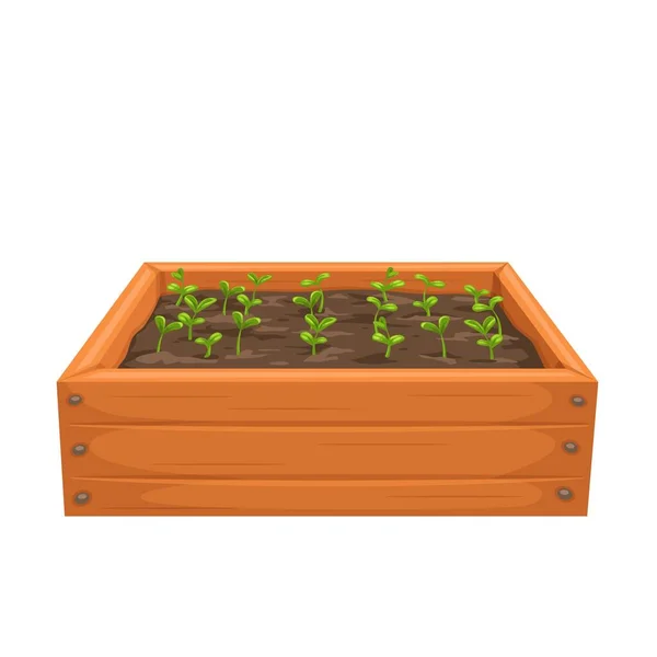 Sprouts Shoot Seedling Sapling Wooden Box Garnening Illustration — Stock Vector