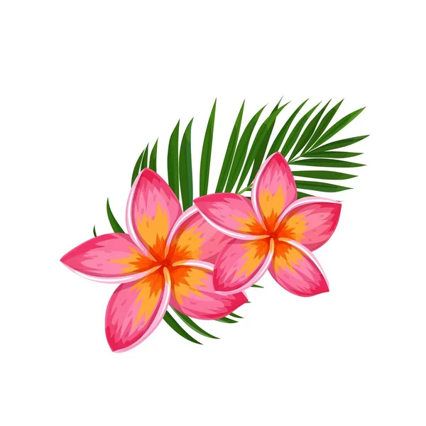 Plumeria Tropische Zomerbloem Cartoon Stijl Vector Illustratie Exotisch Hawaïaans Element — Stockvector