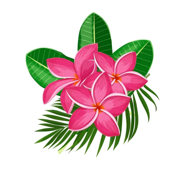 Plumeria Yaz Tropik Çiçeği Çizgi Film Stili Vektör Çizimi Egzotik — Stok Vektör
