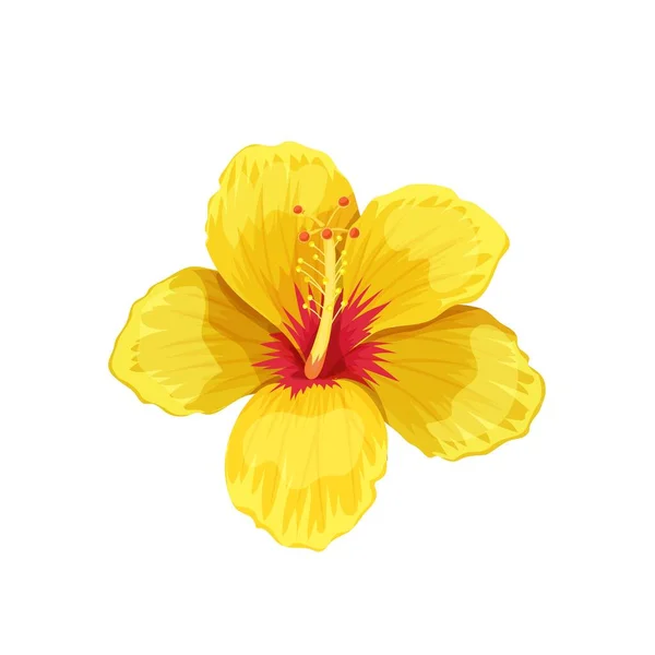 Hibisco Flor Tropical Desenhos Animados Estilo Ilustração Vetorial — Vetor de Stock