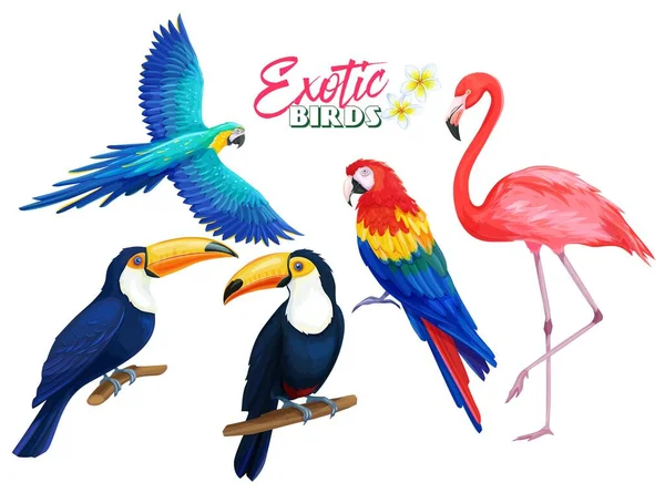 Exotic Birds Parrot Flamingo Toucan Cartoon Iluustration Summer Tropical Paradise — Stock Vector