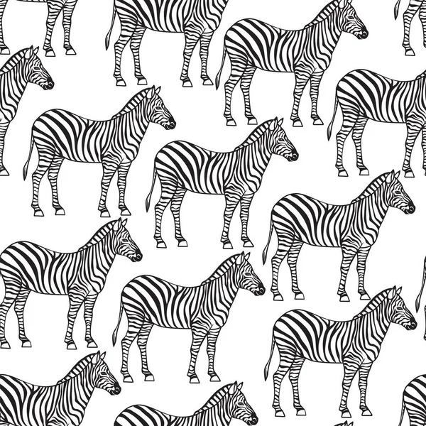 Modèle Sans Couture Zebra Monohrome Noir Isolé Fond Animal — Image vectorielle