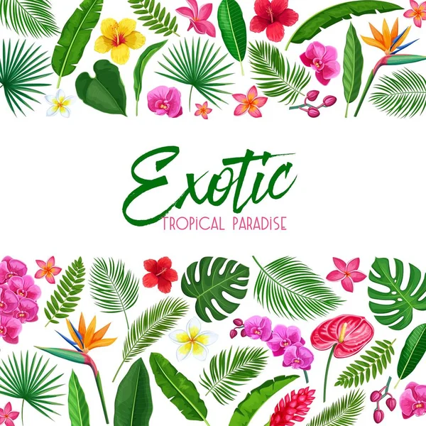 Vector Tropical Layout Page Design Exotic Paradise Template Page Design — Stock Vector