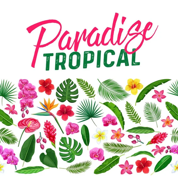 Tropische Bloemen Bladeren Naadloze Rand Exotisch Paradijs Template Pagina Ontwerp — Stockvector