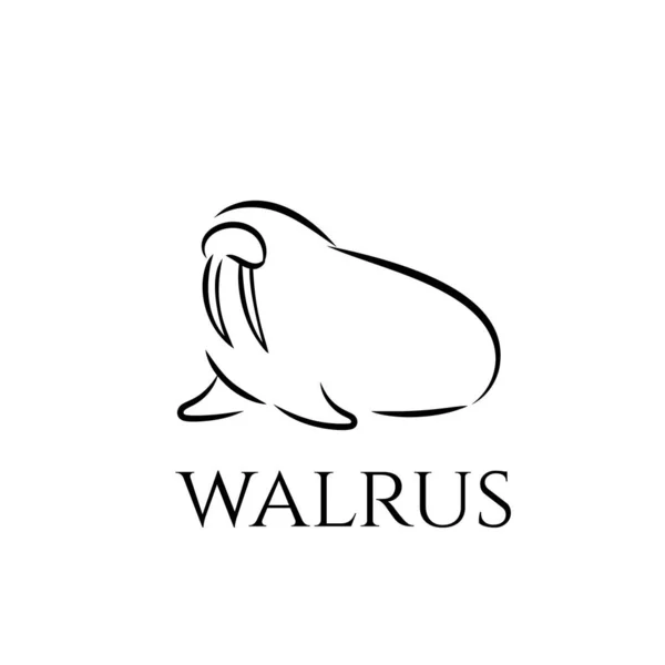 Walrus Outline Icon Vector Animal Linear Illustration — Stock Vector