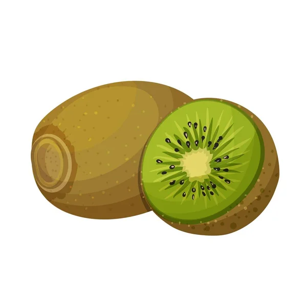 Vector Kiwi Ilustración Frutas Para Menú Del Mercado Agrícola Diseño — Vector de stock