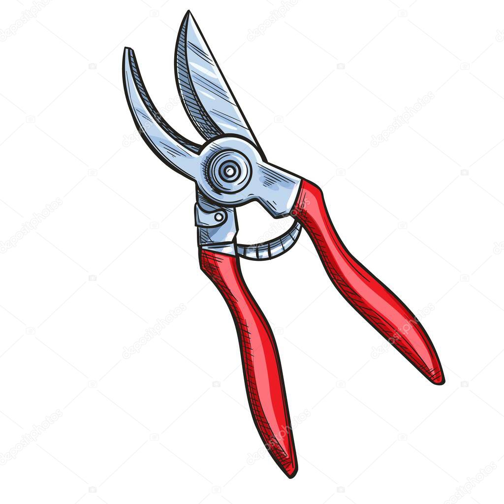 Runing shears, garden secateurs or hand pruners, sketch style, vector illustration.